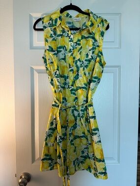 Chloe + Rene Yellow Lemon Print cotton Sleeveless Shirt Dress 2x